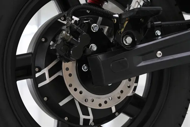 Rear Disc Brake