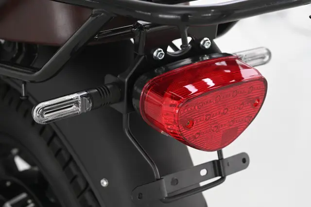 Rear LED Light
